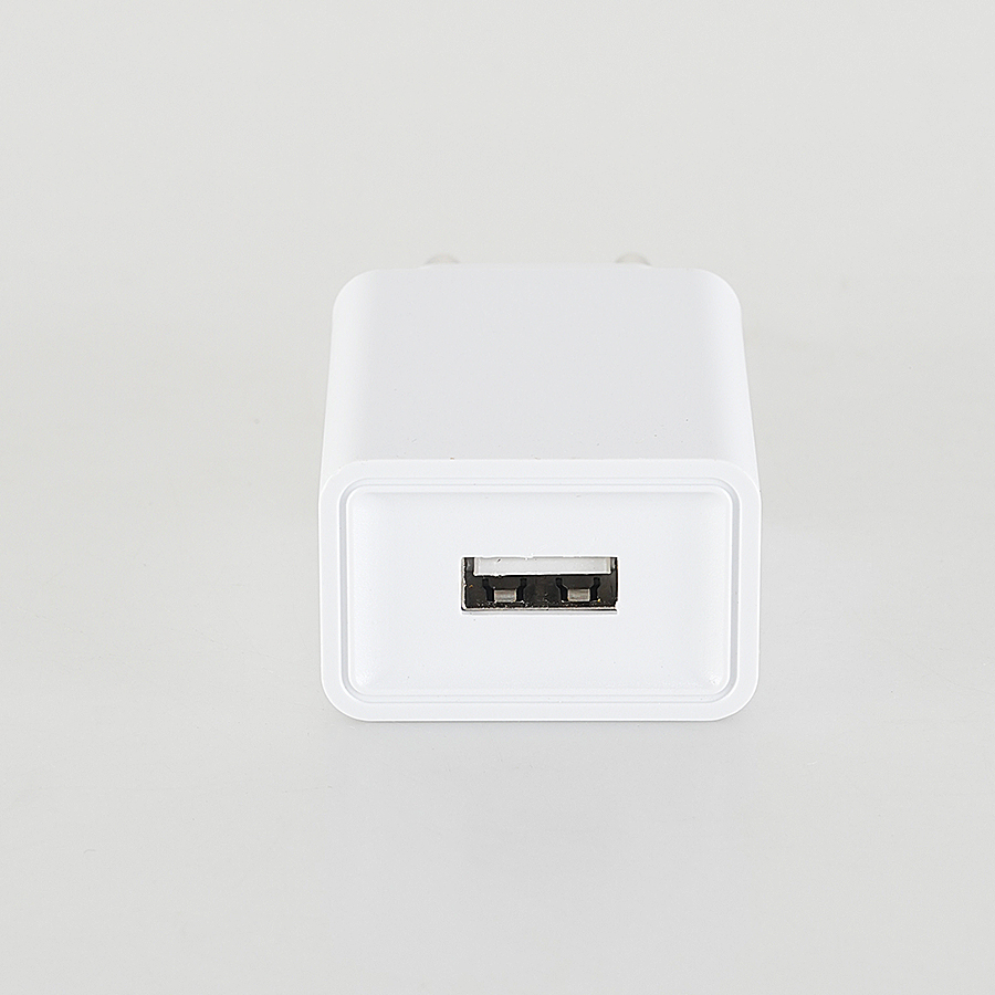 5V1A Europese Unie-stroomadapt - Power Supply recensie en prijs